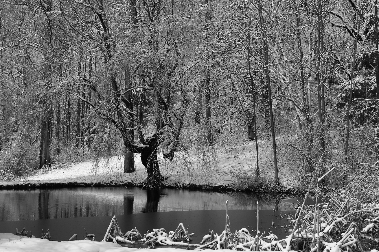 2011 03 24 IMG 26336